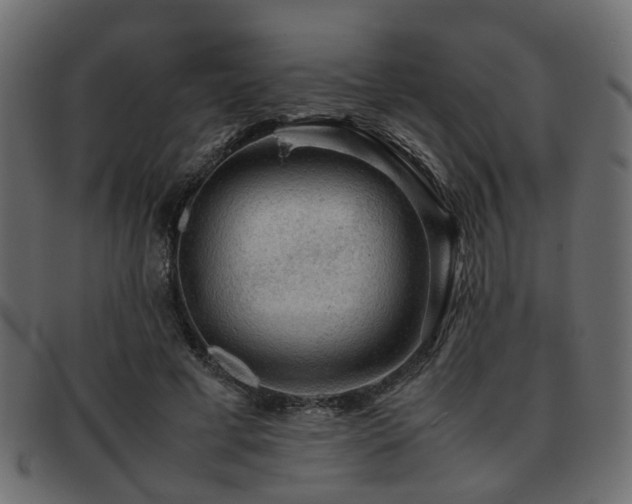 X0000093100593200709261232