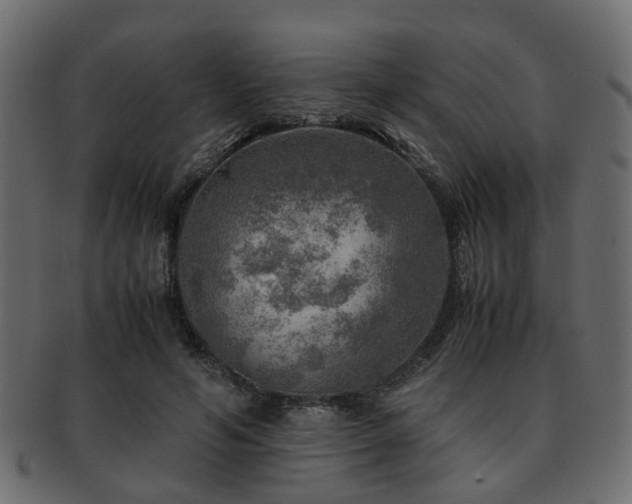 X0000093100594200709261232