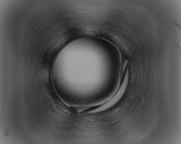 X0000093100595200709261232