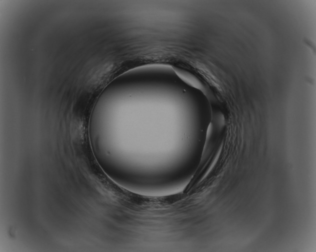 X0000093100597200709261232