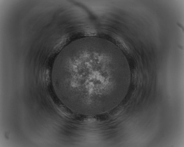 X0000093100598200709261232