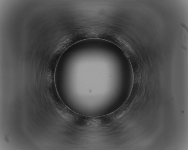 X0000093100599200709261232