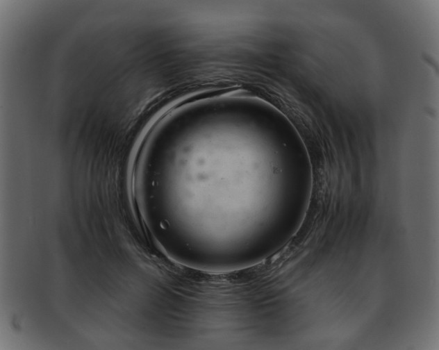 X0000093100600200709261232