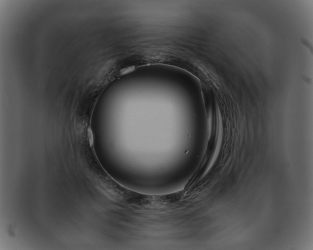 X0000093100601200709261232