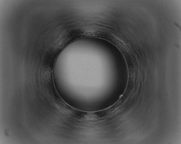 X0000093100603200709261232