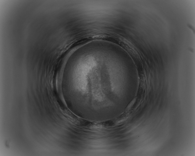 X0000093100604200709261232