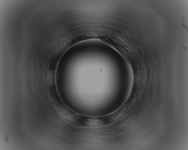 X0000093100605200709261232