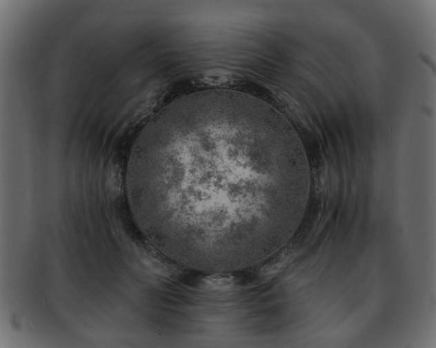 X0000093100606200709261232