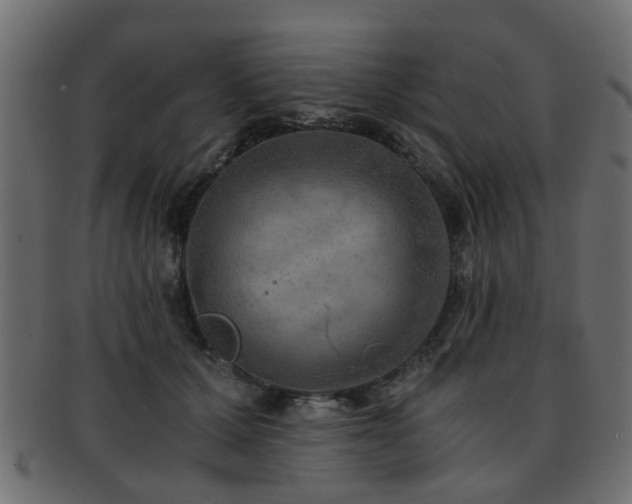 X0000093100607200709261232