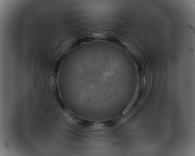 X0000093100609200709261232