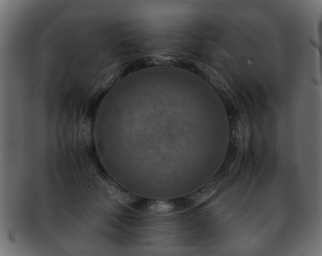 X0000093100610200709261232