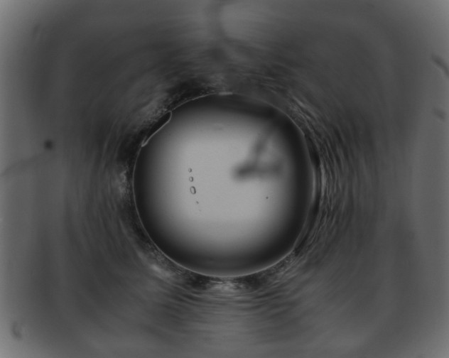 X0000093100611200709261232