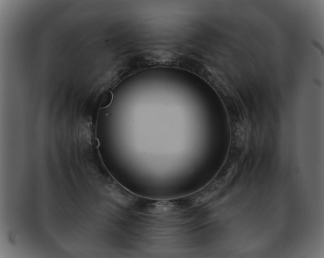 X0000093100612200709261232