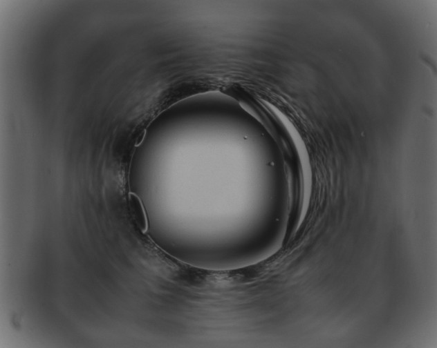 X0000093100613200709261232