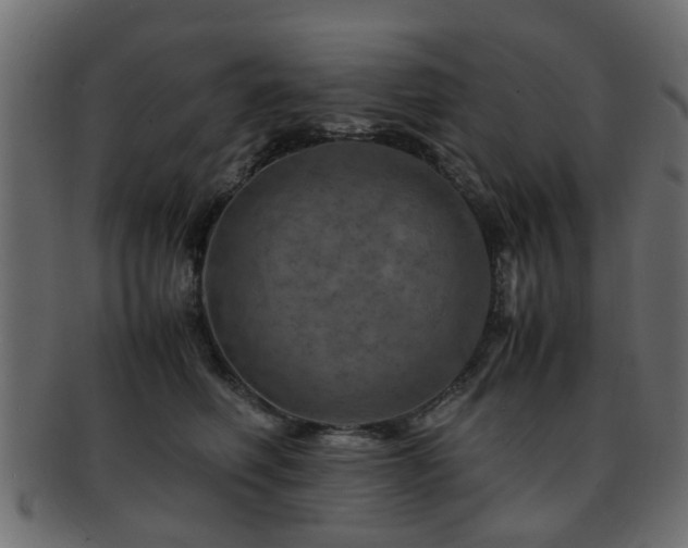 X0000093100614200709261232