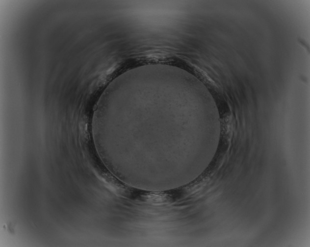 X0000093100615200709261232