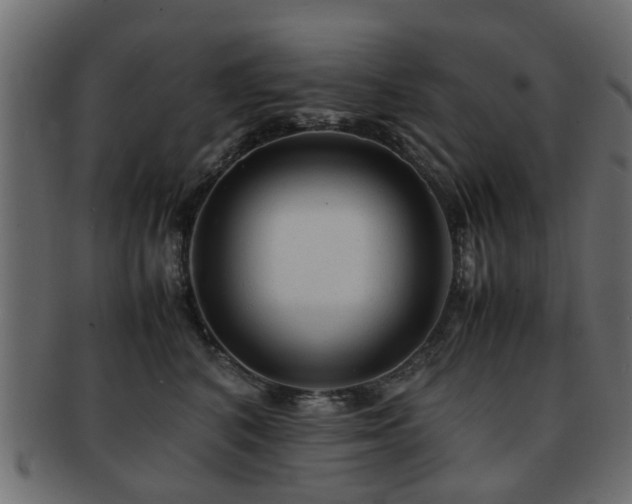 X0000093100616200709261232