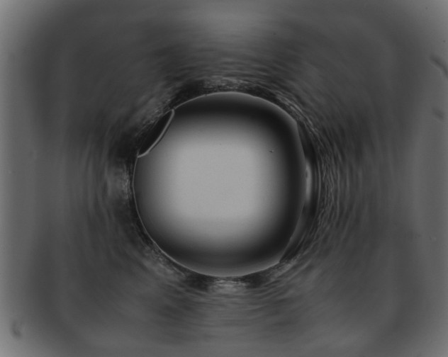 X0000093100617200709261232