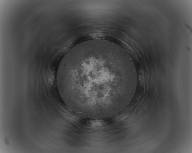 X0000093100618200709261232