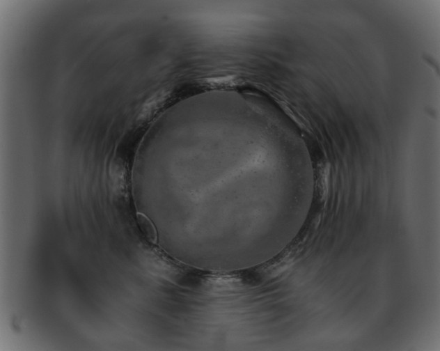 X0000093100619200709261232