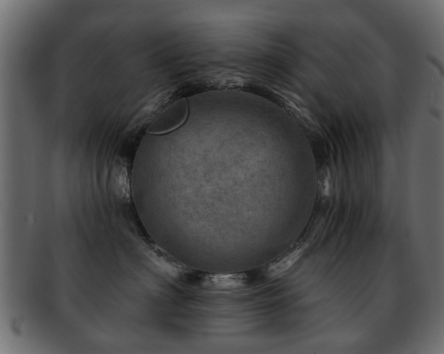 X0000093100622200709261232