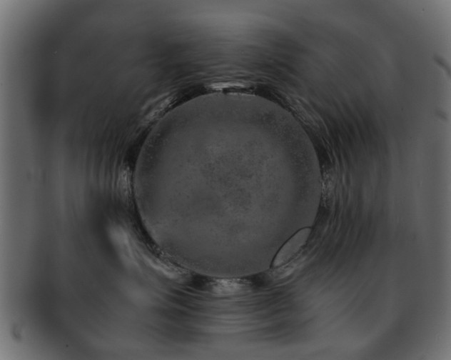 X0000093100623200709261232