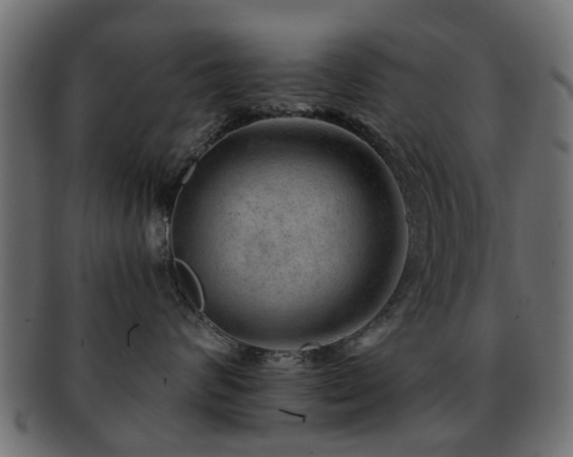 X0000093100624200709261232