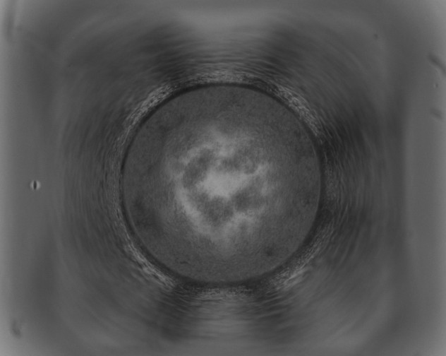 X0000093100625200709261231