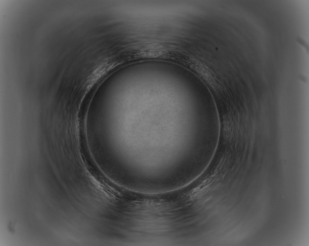 X0000093100626200709261231