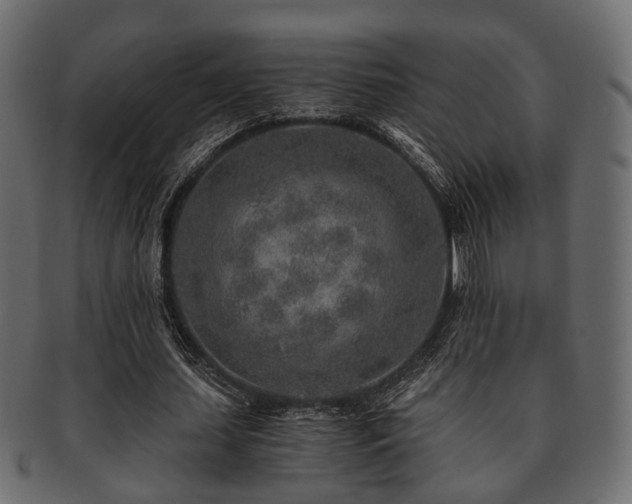 X0000093100627200709261231