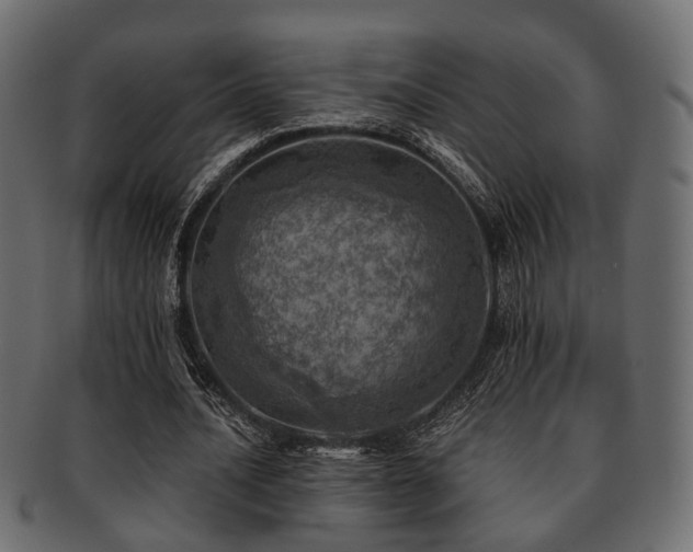 X0000093100628200709261231