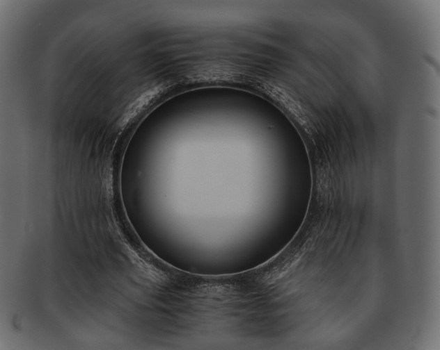 X0000093100629200709261231