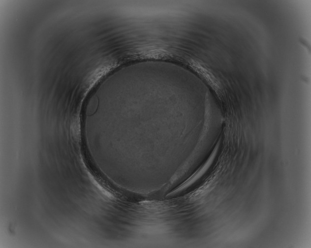 X0000093100630200709261231