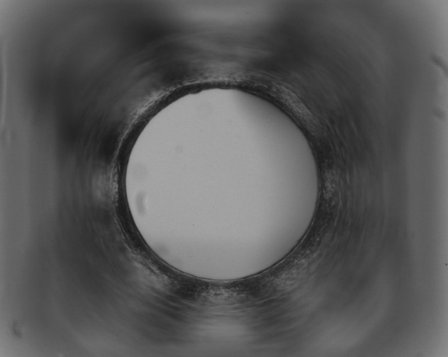 X0000093100632200709261231