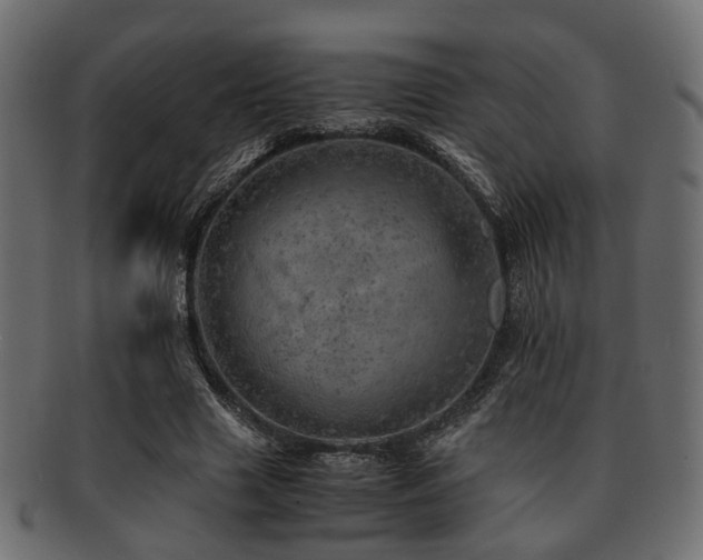 X0000093100633200709261231