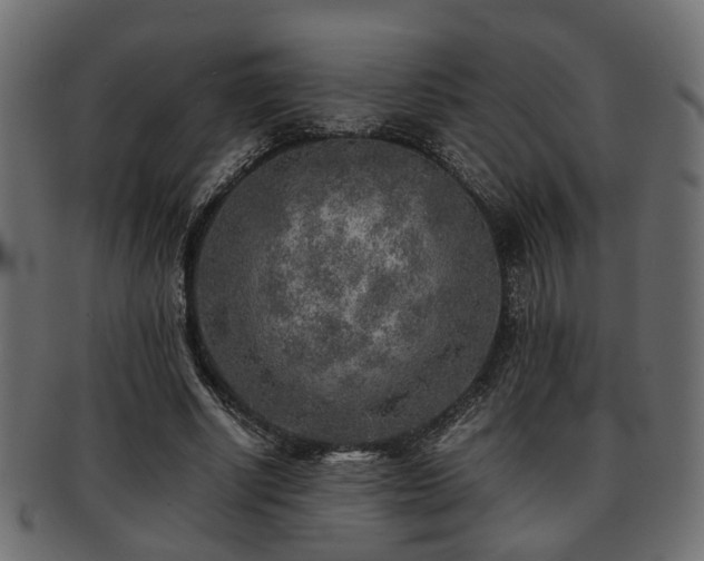X0000093100634200709261231