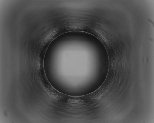 X0000093100635200709261231