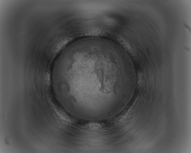 X0000093100636200709261231