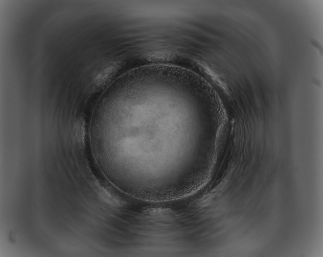 X0000093100637200709261231
