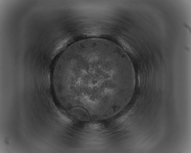 X0000093100638200709261231