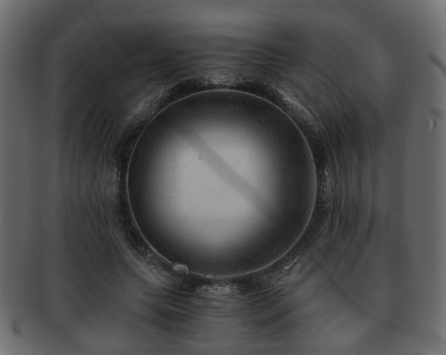 X0000093100639200709261231