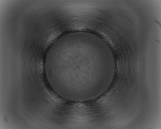 X0000093100640200709261231