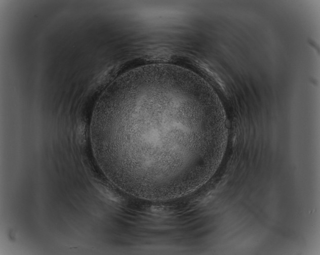 X0000093100641200709261231