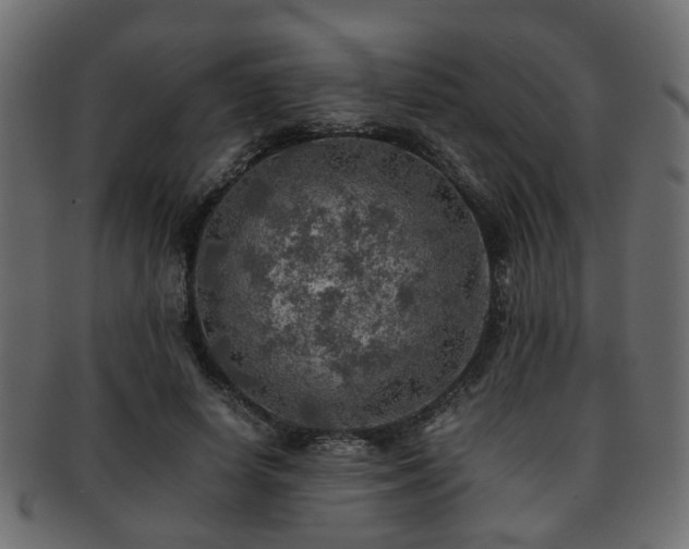 X0000093100642200709261231