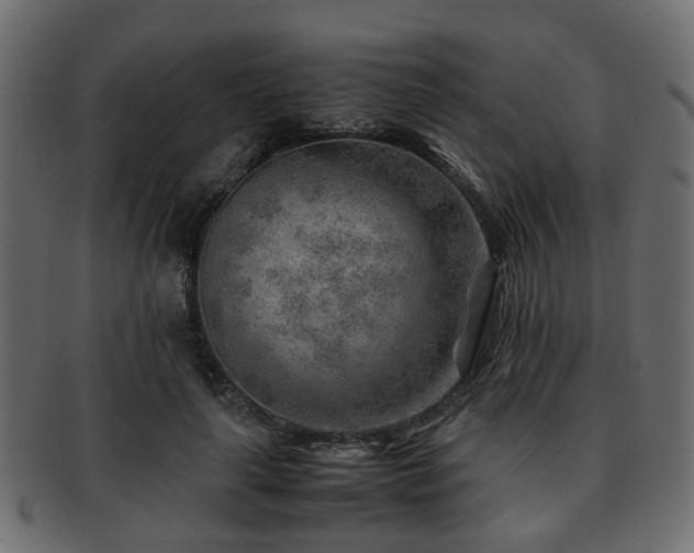 X0000093100643200709261231