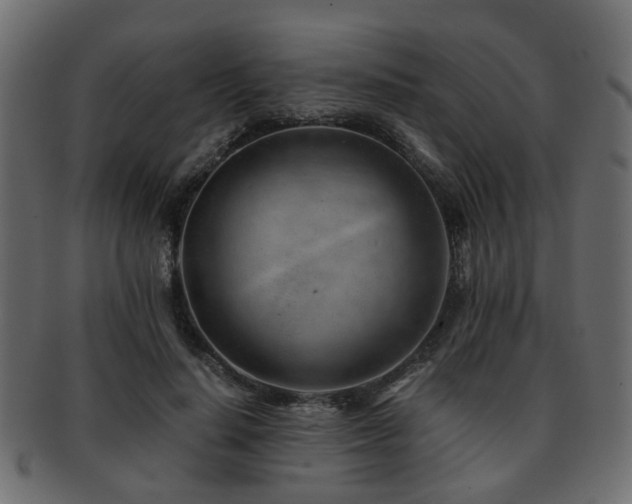 X0000093100644200709261231