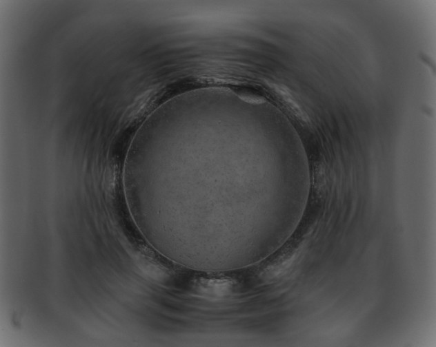 X0000093100645200709261231