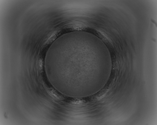 X0000093100646200709261231