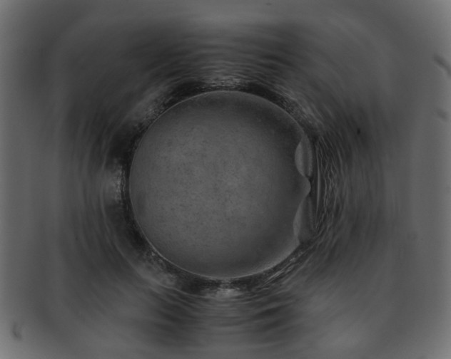 X0000093100647200709261231