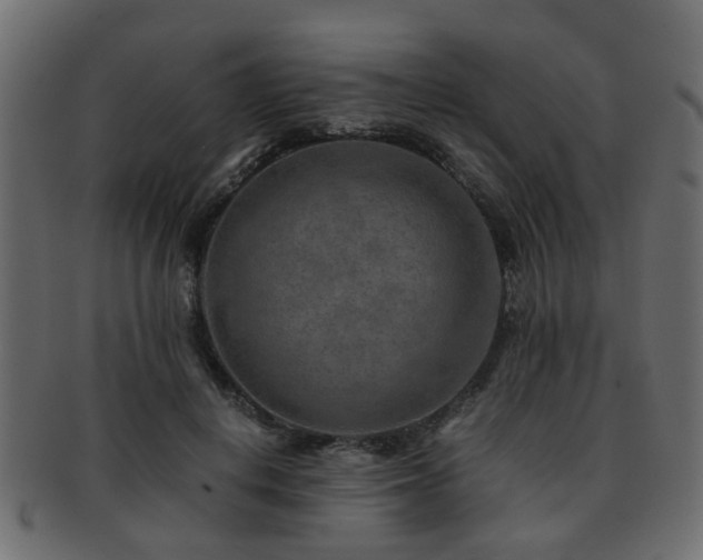 X0000093100648200709261231